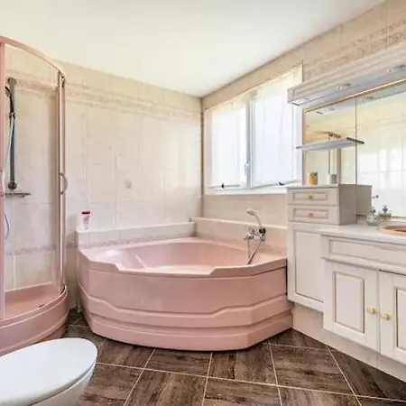 Grand Du Coudray Vakantiehuis Neuille-Pont-Pierre