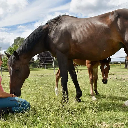 Grand Du Coudray Vakantiehuis *
