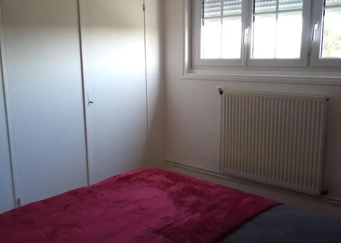 Grand Du Coudray Σπίτι διακοπών Neuille-Pont-Pierre