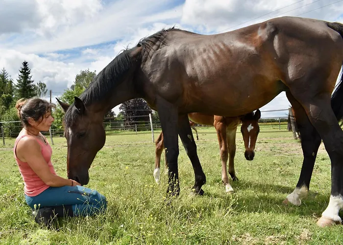 Grand Du Coudray Σπίτι διακοπών *